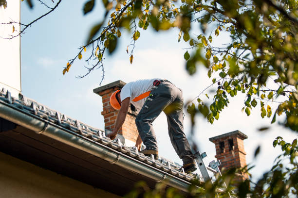 Best Roof Repair Services  in Forsyth, IL