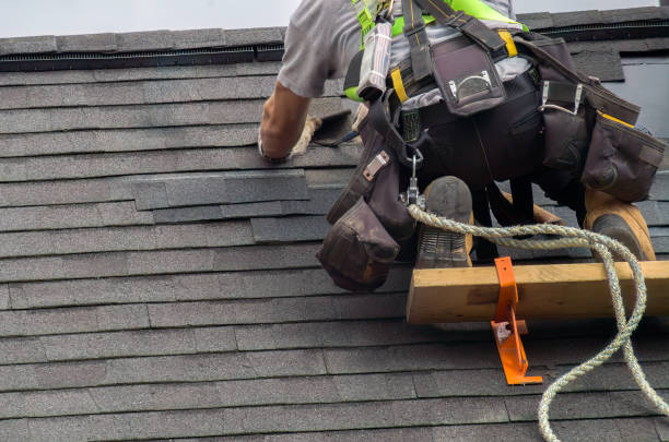 Best Roof Gutter Cleaning  in Forsyth, IL