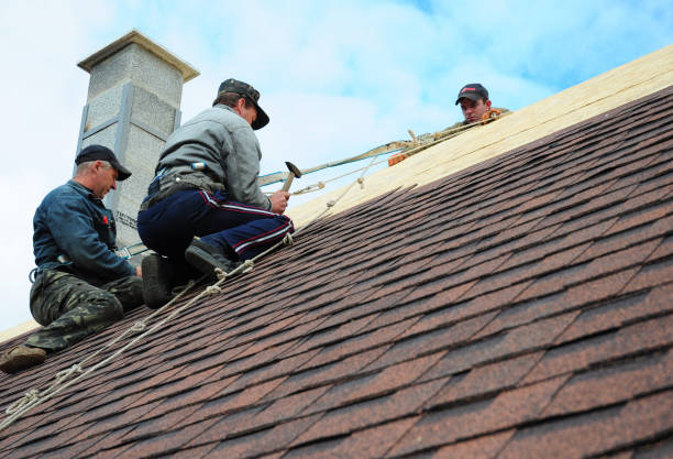 Best Affordable Roofing Company  in Forsyth, IL